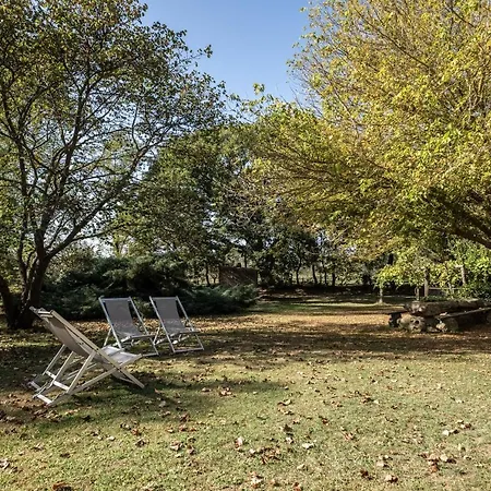 Volpe 皮蒂利亚诺