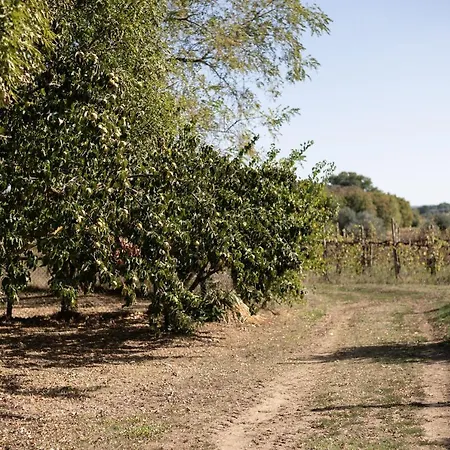 Farm stay Volpe