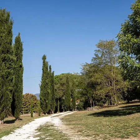 Volpe * 皮蒂利亚诺