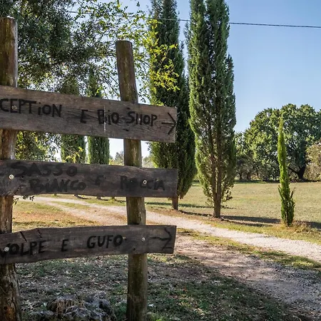 Volpe Alloggio per agriturismo