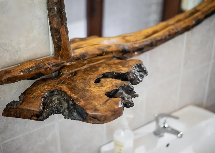 Volpe * 피틸리아노