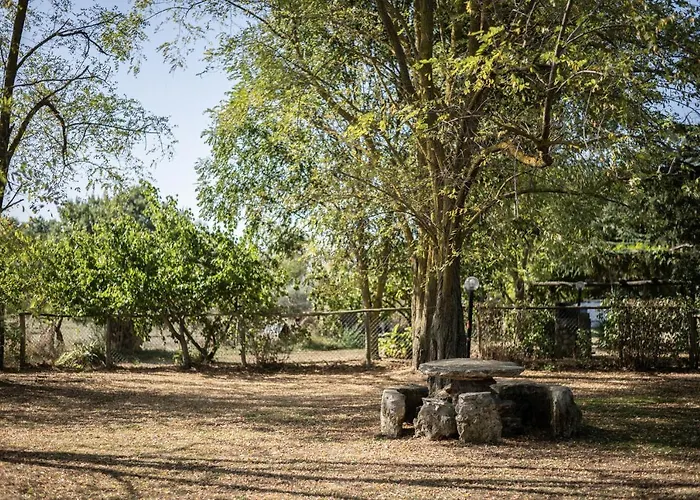 팜스테이 Volpe *