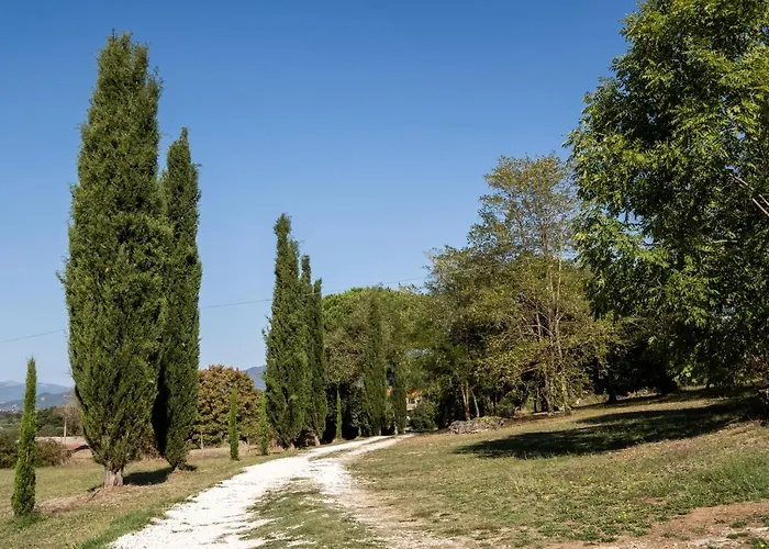 Volpe * 피틸리아노